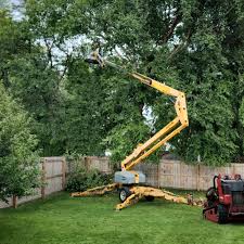 Best Lawn Renovation and Restoration  in North Tonawanda, NY