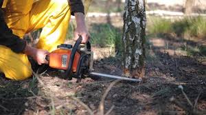 Best Lawn Drainage Solutions  in North Tonawanda, NY